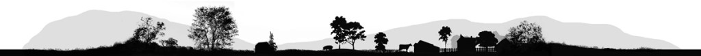 Gwaun Valley Meats